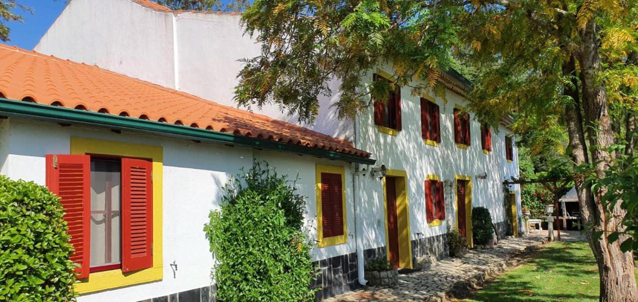 Quinta Flores Ferreira do Zêzere Exteriör bild