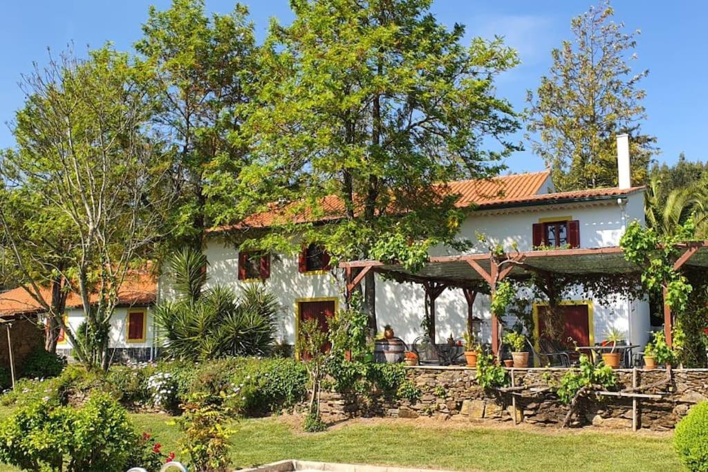 Quinta Flores Ferreira do Zêzere Exteriör bild