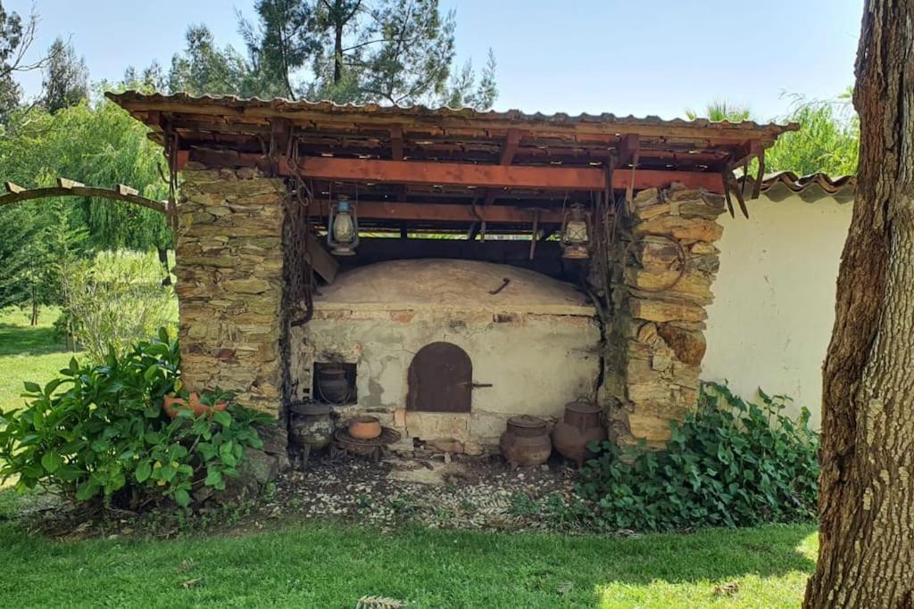Quinta Flores Ferreira do Zêzere Exteriör bild