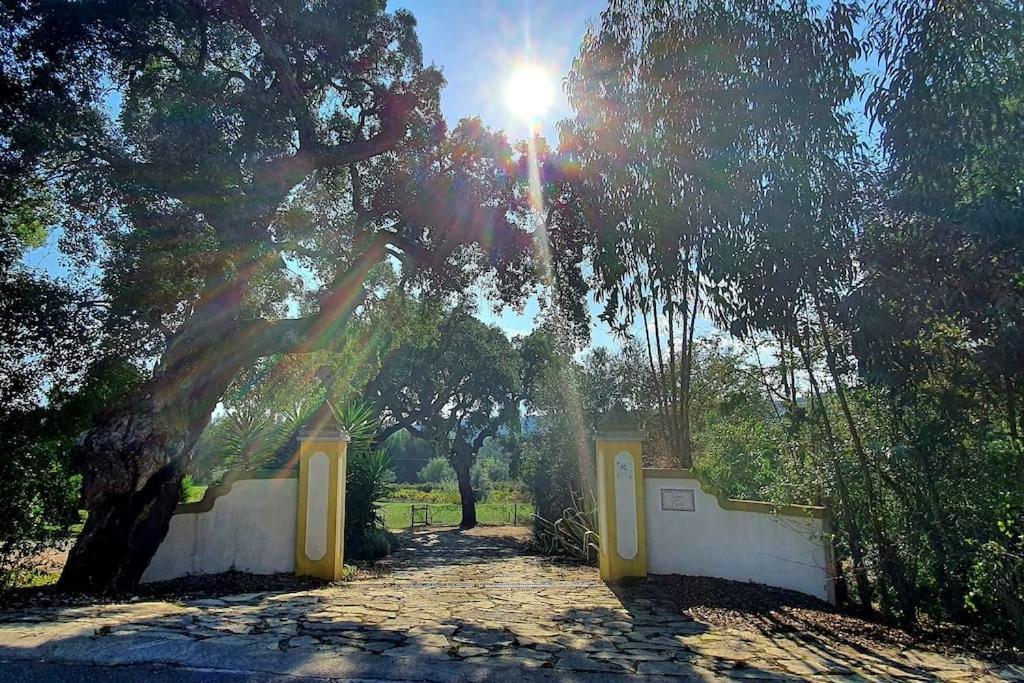 Quinta Flores Ferreira do Zêzere Exteriör bild