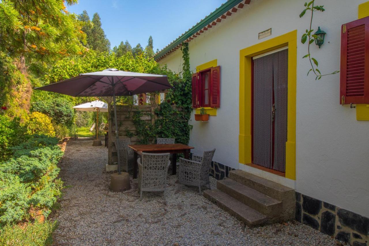 Quinta Flores Ferreira do Zêzere Exteriör bild