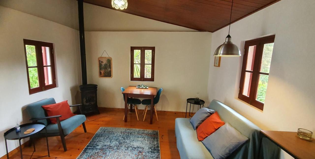 Quinta Flores Ferreira do Zêzere Exteriör bild
