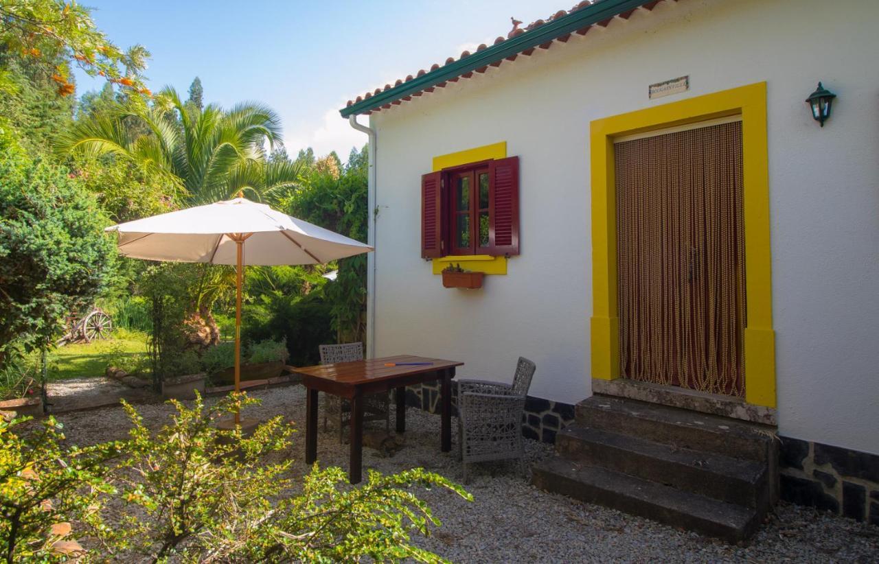 Quinta Flores Ferreira do Zêzere Exteriör bild